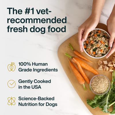 Show full view: JustFoodForDogs JustFresh Human Grade Home-Cooked Chicken Recipe Fresh Dog Food, 12-oz pouch slide 4 of 12