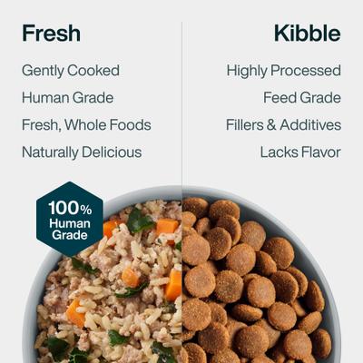 Show full view: JustFoodForDogs JustFresh Human Grade Home-Cooked Beef Recipe Fresh Dog Food, 12-oz pouch, bundle of 14  slide 8 of 12