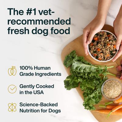 Show full view: JustFoodForDogs JustFresh Human Grade Home-Cooked Beef Recipe Fresh Dog Food, 12-oz pouch, bundle of 14  slide 4 of 12