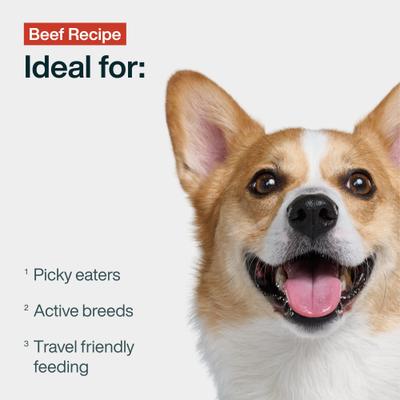 Show full view: JustFoodForDogs JustFresh Human Grade Home-Cooked Beef Recipe Fresh Dog Food, 12-oz pouch, bundle of 14  slide 3 of 12