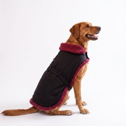 Doggie Design Sherpa-Lined Harness Dog Coat, Black/Burgundy Dots, Large slide 2 of 5