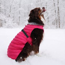 Doggie Design Alpine Extreme Weather Puffer Solid Water Resistant Dog Coat, Pink Peacock, 3X-Large slide 2 of 5