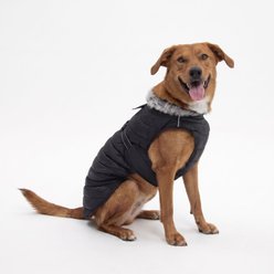 Doggie Design Alpine Extreme Weather Puffer Solid Water Resistant Dog Coat, Black, 5X-Large slide 2 of 5