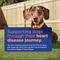 Show in main carousel: Vetmedin (pimobendan) Chewable Tablets for Dogs, 50 tablets, 2.5-mg slide 6 of 10
