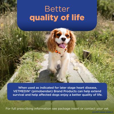 Show full view: Vetmedin (pimobendan) Chewable Tablets for Dogs, 50 tablets, 2.5-mg slide 5 of 10