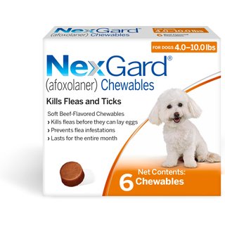 NexGard Chewables for Dogs, 4-10 lbs, (Orange Box), 6 Chewable Tablets (6-mos. supply) slide 1 of 9