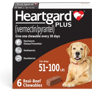Heartgard Plus Chew for Dogs, 51-100 lbs, (Brown Box), 6 Chews (6-mos. supply)
