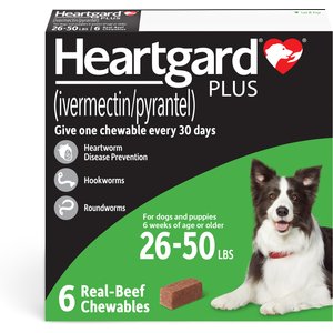 Heartgard Plus Chew for Dogs, 26-50 lbs, (Green Box), 6 Chews (6-mos. supply)