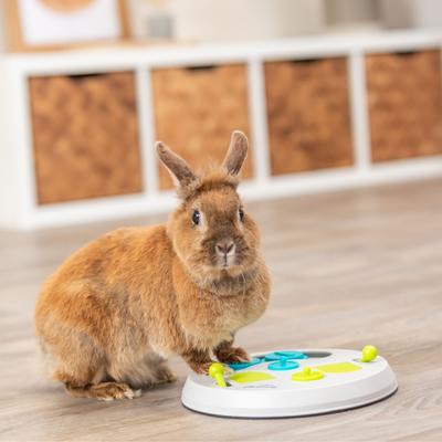 Show full view: TRIXIE Strategy Flip Board Small Pet Snack Game Toy, White & Green, Medium slide 7 of 7