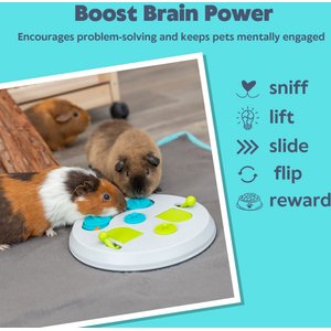 TRIXIE Strategy Flip Board Small Pet Snack Game Toy, White & Green, Medium
