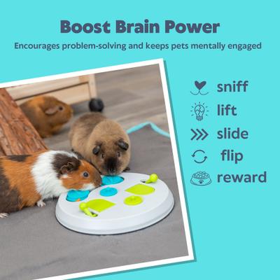 Show full view: TRIXIE Strategy Flip Board Small Pet Snack Game Toy, White & Green, Medium slide 3 of 7