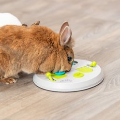 TRIXIE Strategy Flip Board Small Pet Snack Game Toy, White & Green, Medium