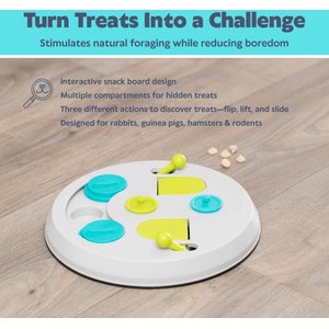 TRIXIE Strategy Flip Board Small Pet Snack Game Toy, White & Green, Medium