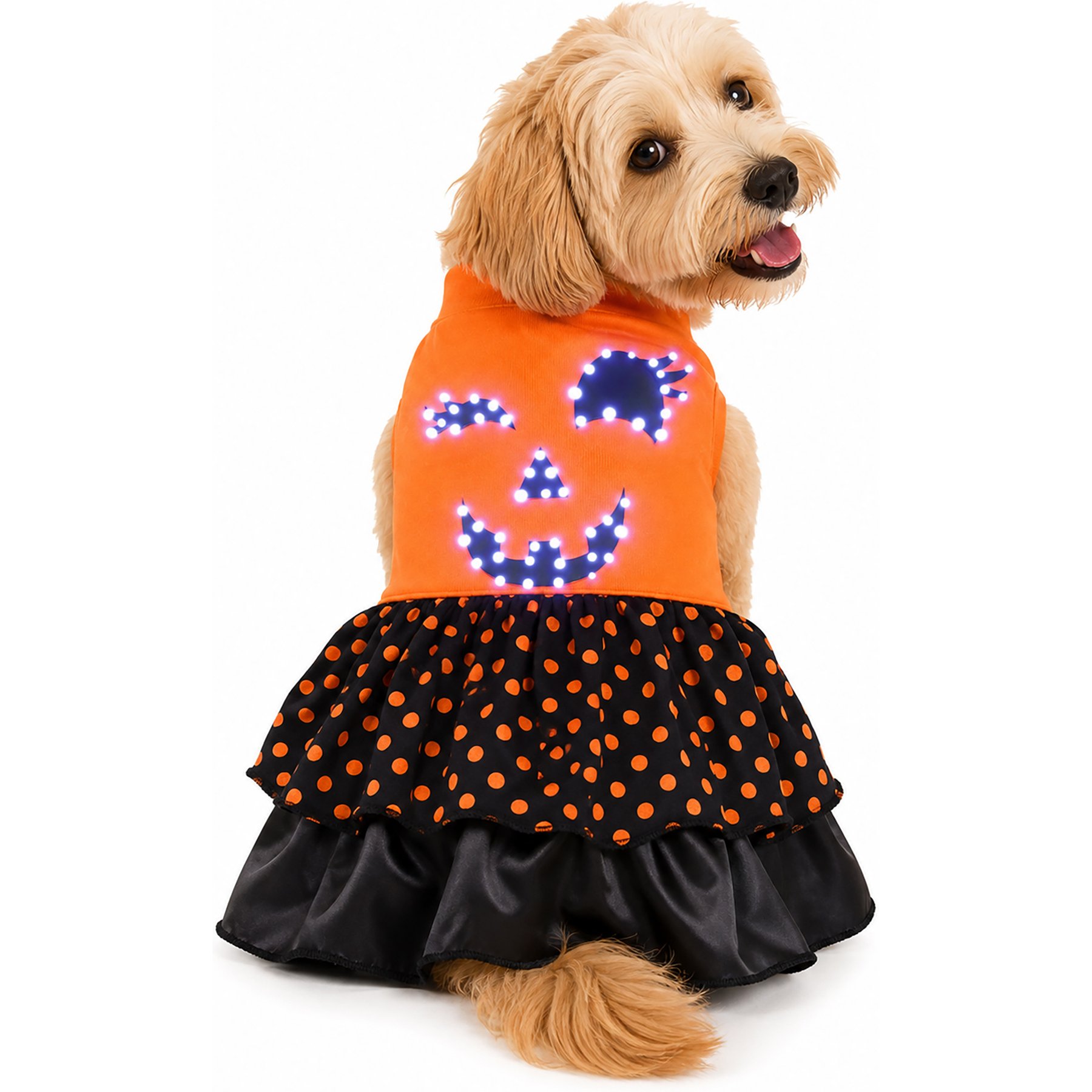 Pet Life LED Lighting Halloween Dog Costume, Orange, Large