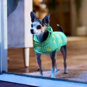 Frisco Lightweight Rubber Ducky Dog Raincoat, Green Ducky, X-Small