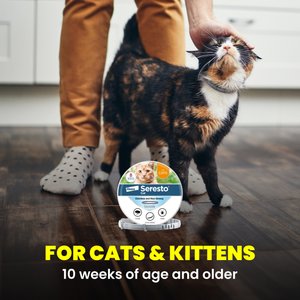 Seresto Flea & Tick Collar for Cats, 1 Collar (8-mos. supply)