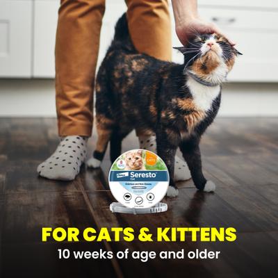 Show full view: Seresto Flea & Tick Collar for Cats, 1 Collar (8-mos. supply) slide 9 of 10