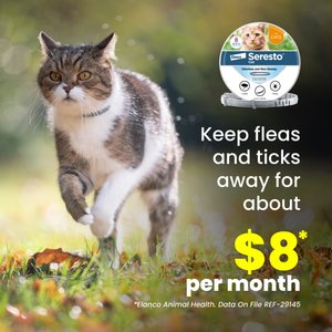 Seresto Flea & Tick Collar for Cats, 1 Collar (8-mos. supply)