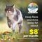 Show in main carousel: Seresto Flea & Tick Collar for Cats, 1 Collar (8-mos. supply) slide 8 of 10