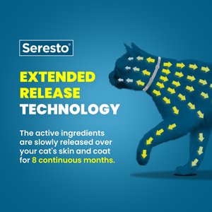 Seresto Flea & Tick Collar for Cats, 1 Collar (8-mos. supply)