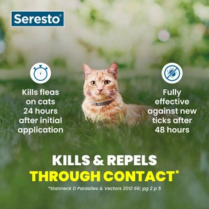 Seresto Flea & Tick Collar for Cats, 1 Collar (8-mos. supply)