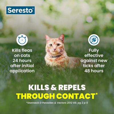 Show full view: Seresto Flea & Tick Collar for Cats, 1 Collar (8-mos. supply) slide 5 of 10
