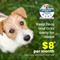 Show in main carousel: Seresto Flea & Tick Collar for Dogs, up to 18-lbs, 1 Collar (8-mos. supply) slide 8 of 10