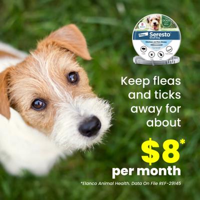 Show full view: Seresto Flea & Tick Collar for Dogs, up to 18-lbs, 1 Collar (8-mos. supply) slide 8 of 10