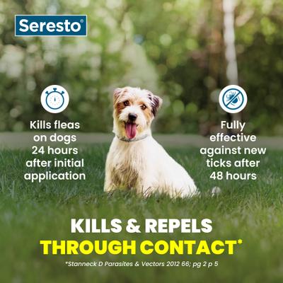 Show full view: Seresto Flea & Tick Collar for Dogs, up to 18-lbs, 1 Collar (8-mos. supply) slide 5 of 10