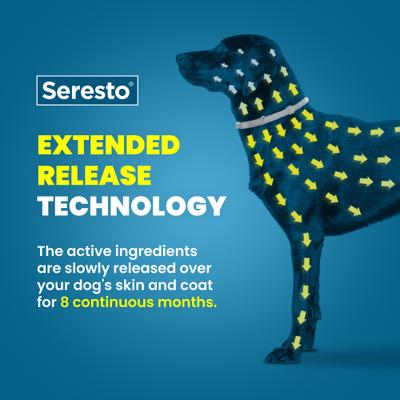 Show full view: Seresto Flea & Tick Collar for Dogs, up to 18-lbs, 1 Collar (8-mos. supply) slide 6 of 10