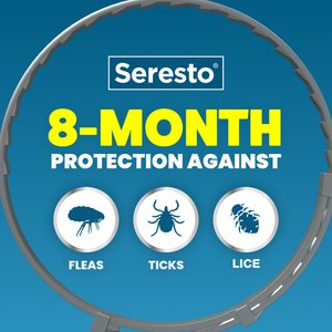 Seresto Flea & Tick Collar for Dogs, over 18-lbs, 1 Collar (8-mos. supply)