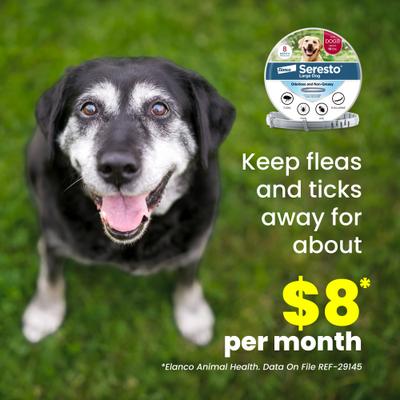 Show full view: Seresto Flea & Tick Collar for Dogs, over 18-lbs, 1 Collar (8-mos. supply) slide 9 of 10