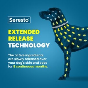 Seresto Flea & Tick Collar for Dogs, over 18-lbs, 1 Collar (8-mos. supply)