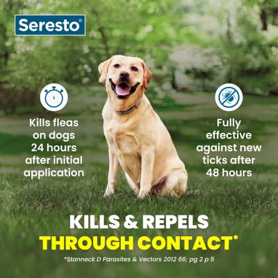 Show full view: Seresto Flea & Tick Collar for Dogs, over 18-lbs, 1 Collar (8-mos. supply) slide 5 of 10