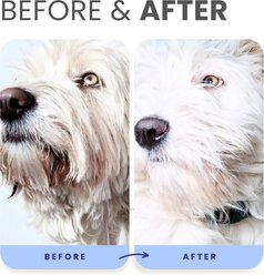 Lillian Ruff Berry Blue Brightening Dog & Cat Face & Body Wash, 16-fl oz bottle slide 2 of 6