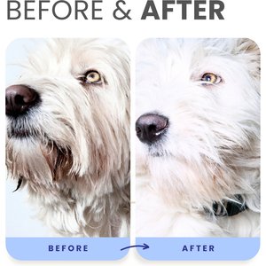 Lillian Ruff Berry Blue Brightening Dog & Cat Face & Body Wash, 16-fl oz bottle