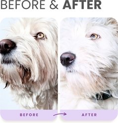 Lillian Ruff Brightening Dog & Cat Shampoo & Oatmeal Conditioner Set, 16-fl oz bottles, pack of 2 slide 2 of 6