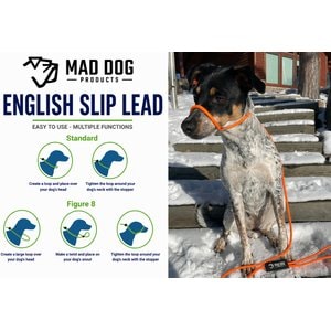 Mad Dog Products Premium Rope Nylon Slip Lead Dog Leash, Red, 6-ft long, 1/4-in wide
