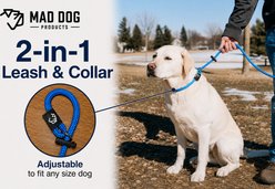 Mad Dog Products Premium Rope Nylon Slip Lead Dog Leash, Orange, 6-ft long, 1/4-in wide slide 2 of 9