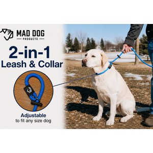 Mad Dog Products Premium Rope Nylon Slip Lead Dog Leash, Red, 6-ft long, 1/4-in wide