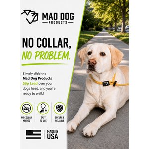 Mad Dog Products Premium Rope Nylon Slip Lead Dog Leash, Red, 6-ft long, 1/4-in wide