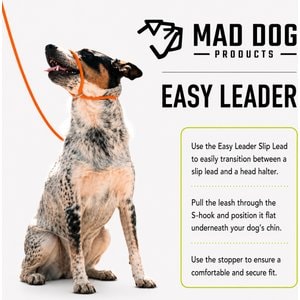 Mad Dog Products Premium Rope Easy Leader Nylon Slip Lead Dog Leash, Red, 6-ft long, 3/8-in wide