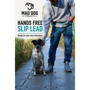 Mad Dog Products Hands Free Slip Lead Dog Leash, Red/White/Blue, 10 ft-1/4 in