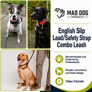Mad Dog Products English Slip/Safety Strap Combo Dog Leash, Purple, 6-ft long, 1/4-in wide