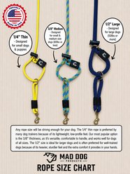 Mad Dog Products English Slip/Safety Strap Combo Dog Leash, Rainbow, 6-ft long, 1/4-in wide slide 2 of 9