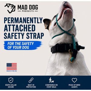 Mad Dog Products English Slip/Safety Strap Combo Dog Leash, Purple, 6-ft long, 1/4-in wide
