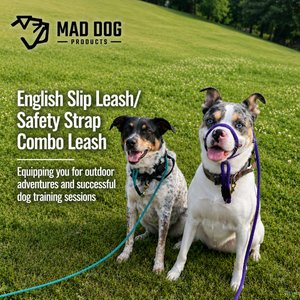 Mad Dog Products English Slip/Safety Strap Combo Dog Leash, Purple, 6-ft long, 1/4-in wide