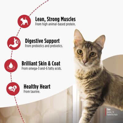 Show full view: Nulo FreeStyle Indoor Duck & Cod Recipe with Omega Fatty Acids High Protein & Grain-Free Dry Cat Food, 14-lb bag slide 5 of 12