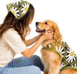 Both Tails Sunshine Crochet Accessories Dog Bandana, Green/yellow/white
