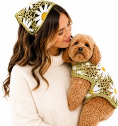Both Tails Sunshine Crochet Accessories Dog Shirt & Bandana, Green/yellow/white, X-Large